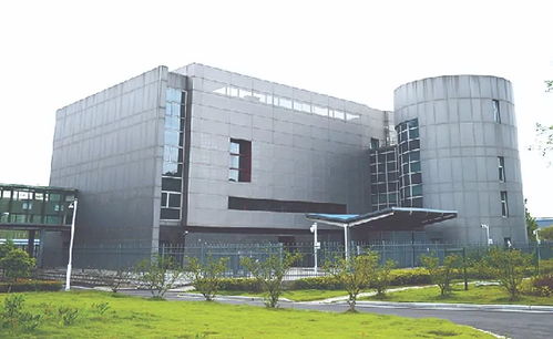 上海分院捷報頻傳 多項成果榮膺年度中國十大科技進展新聞，展現(xiàn)上海技術開發(fā)新高度